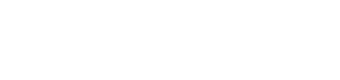 ACE - logo white