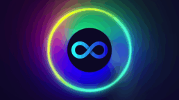 ACE, partner of the joint project